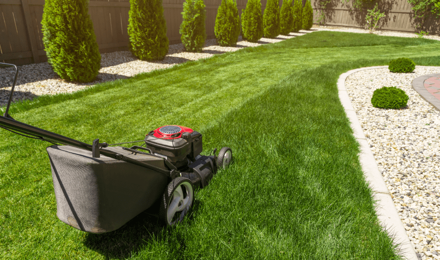 YARD MAINTENANCE
