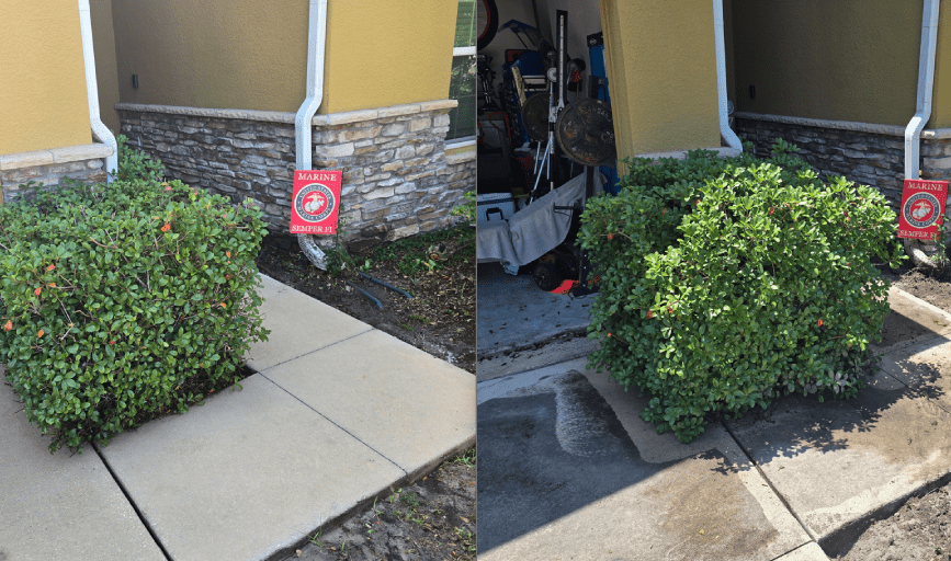 PRESSURE WASHING